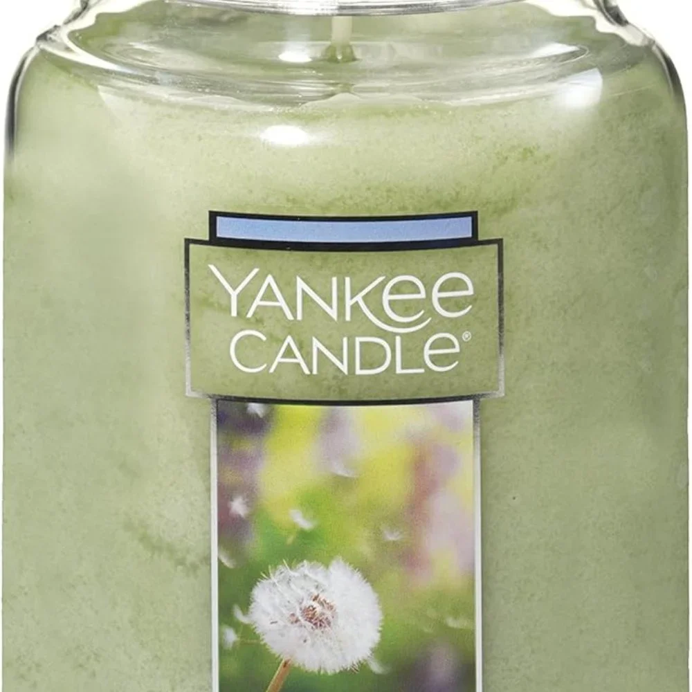 Candle Summer Wish Scented, Classic 22oz Large Jar Single‎ Wick Candle, Over 110